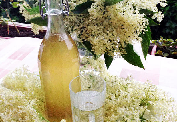 Flasche Holunderblütensirup mit Trinkglas und Holunderblüten